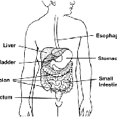 La AECC insta a Sanidad a que apruebe el Plan Integral contra la enfermedad
