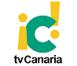 Nuevo director en la TV Canaria
