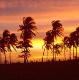 Los periodistas de Brasil hacen un tour por Santo Domingo
