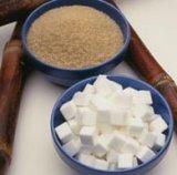 Convocan el Concurso de Periodismo Azucarero