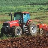 Termina el plazo del Seguro de cítricos y se abre el del aguacate