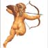 cupido.jpg