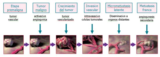 proceso.jpg