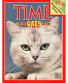 1981_cats.jpg