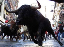 sanfermin.jpg