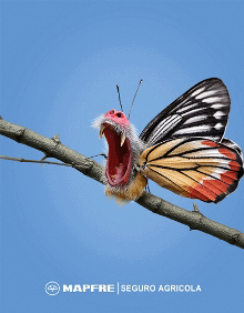 publi_mapfre_agricola_chile_mandril_ok.gif