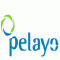 pelayo_logo_ok_thumb_thumb.gif