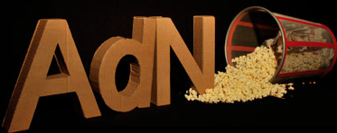 adn_festival.jpg