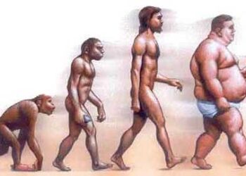 obesidad_evolucin
