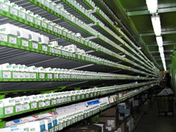 distribucion_farmacia