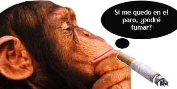 mono_fumando2