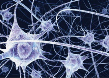 Copia_de_tecnologiablog_1neuronasinside