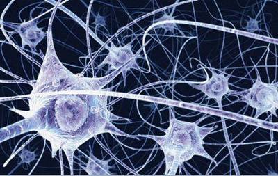 Copia_de_tecnologiablog_1neuronasinside