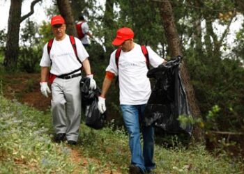 diadelasolidaridad_v3