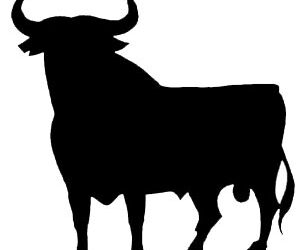 toro_espaa_prsalud_prnoticias