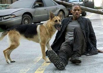 Will Smith lidera el prime time con Soy leyenda