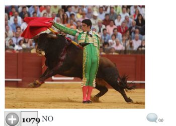 El 85% de los españoles no queremos a los Toros como Fiesta Nacional