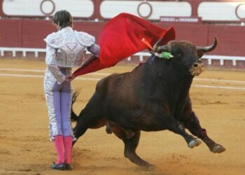 La CNC expedienta a All Sports Media y a varios toreros por los derechos de los toros