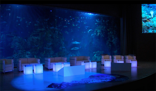 yondelis_camapana_aspid