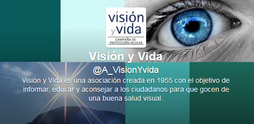 VisionYVida