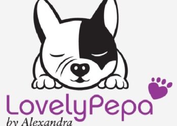 ¿Cómo ser blogger de moda y ganar 19.300 euros al año?