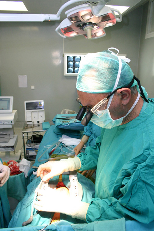 HMHospitales_Protesis