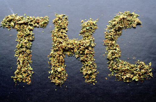 TCH_Cannabis