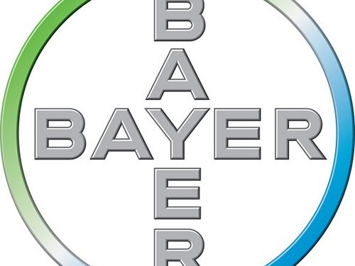 Bayer_500