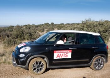Coche fiat avis