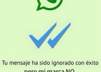 WhatsApp doble check azul marcas