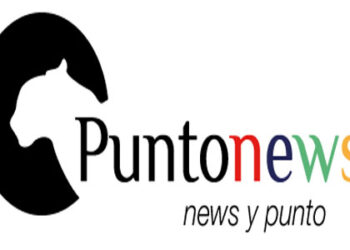 Puntonews
