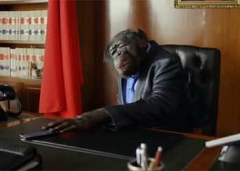 5 anuncios publicitarios españoles en el ‘Día internacional contra la corrupción’