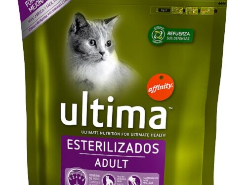 ultima_gatos_esterilizados