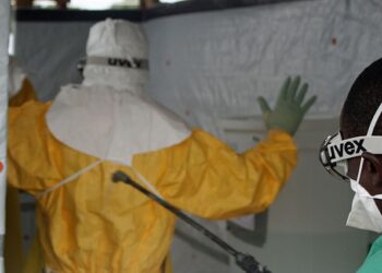 ébola, Informe Quiral