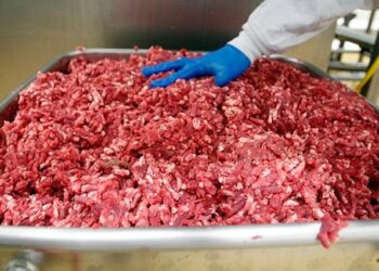 Carne roja procesada cancer OMS