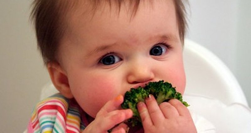 El Baby Led Weaning podría combatir la obesidad infantil