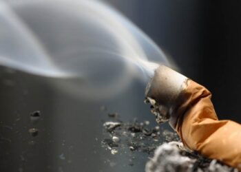 tabaqueras rentable infringir la ley