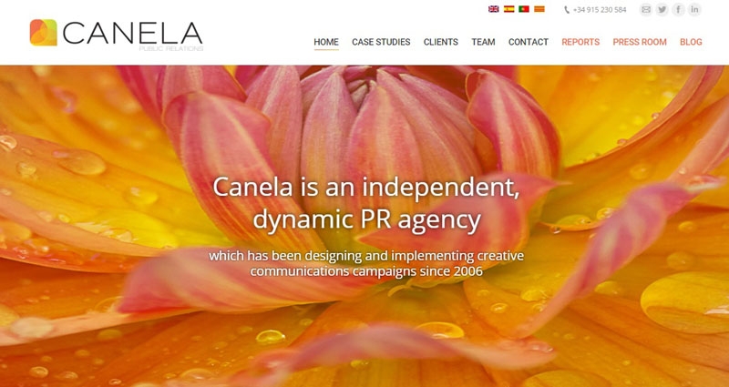 Un pantallazo de la nueva web de Canela PR (canelapr.com)