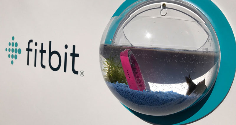 fitbit acuatico