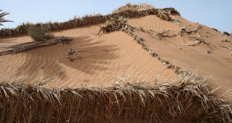 Desertificación en una imagen de archivo.