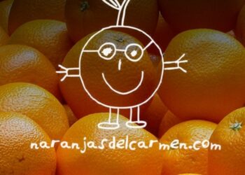 Naranjas del carmen