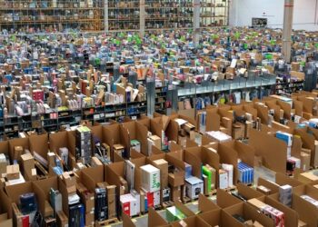 Planta de Amazon. Foto: Álvaro Ibáñez