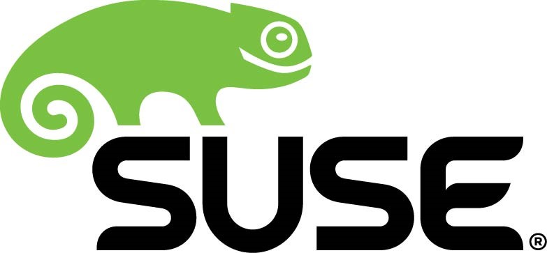 FOTO LOGO SUSE.jpg