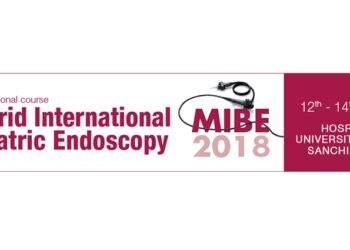 MIBE 2018