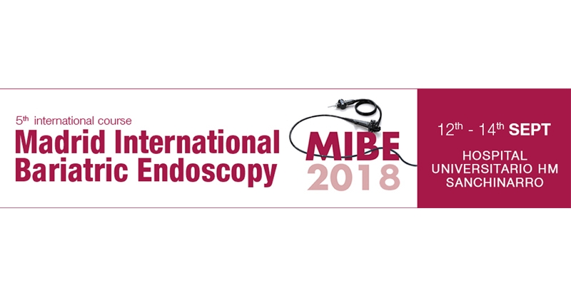 MIBE 2018