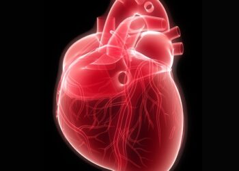 CNIC y quiron acuerdo salud cardiovascular