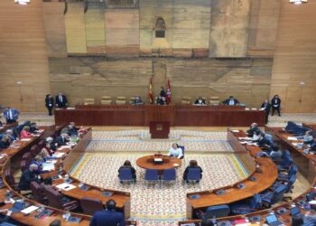 Foto cortesía @asambleamadrid