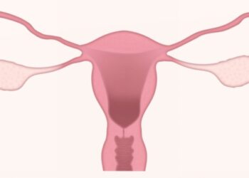 El cáncer de cuello uterino: décima causa de muerte entre las mujeres españolas