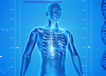 Aparece un nuevo medicamento que regenera los huesos en pacientes con osteoporosis