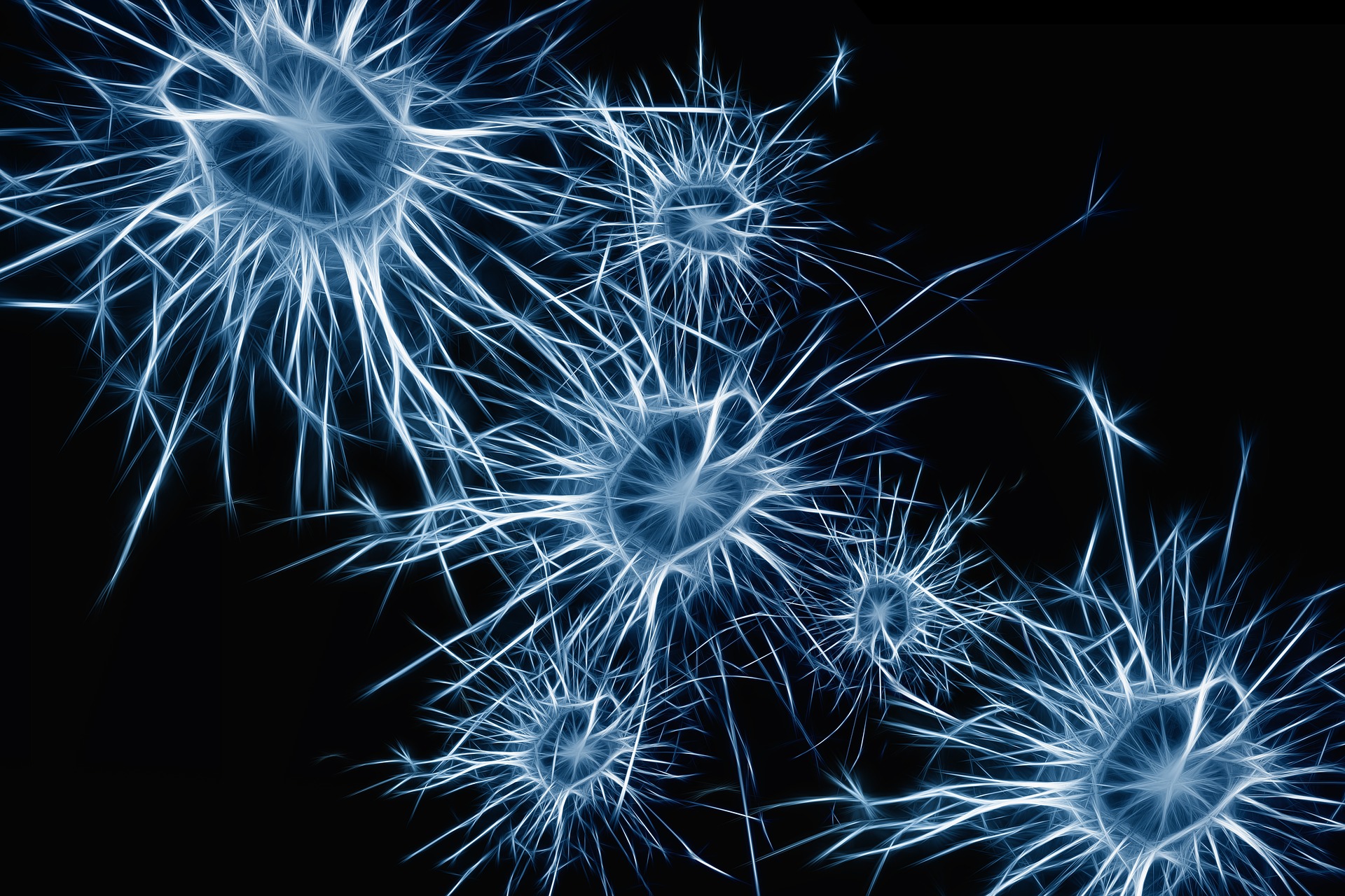 neurons-1773922_1920.jpg